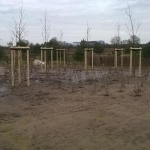 Garten- und Landschaftsbau