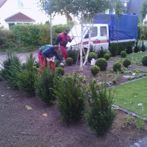 Garten- und Landschaftsbau