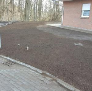 Rollrasen und Rasensaat