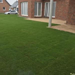 Rollrasen und Rasensaat