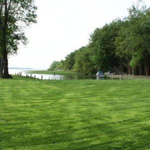 Rollrasen und Rasensaat