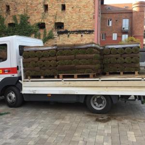 Rollrasen und Rasensaat