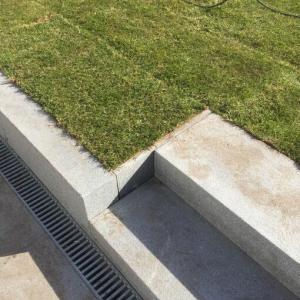 Rollrasen und Rasensaat